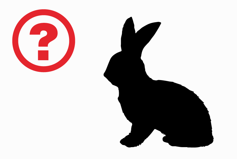 Discovery alert Rabbit Unknown Rosières-prés-Troyes France